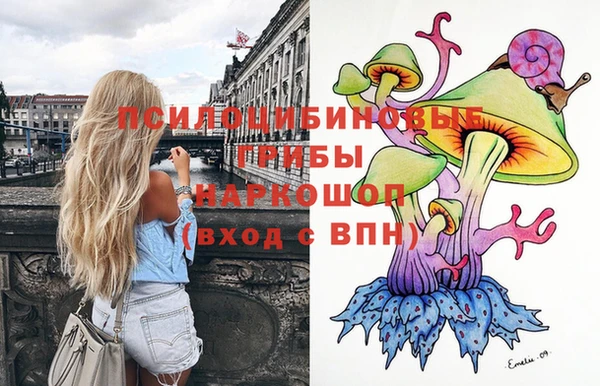 мяу мяу мука Армянск