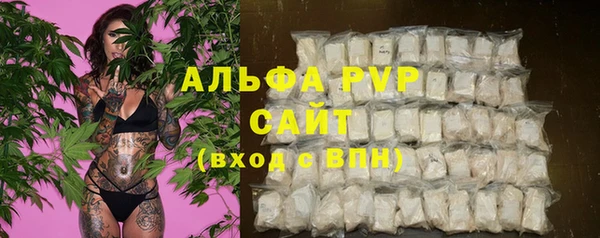 винт Алексин