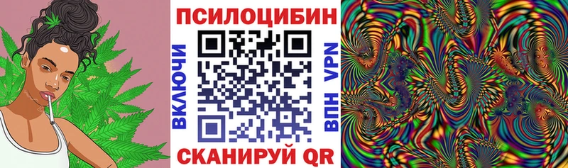 Купить  Сухой Лог  Псилоцибиновые грибы ЛСД 