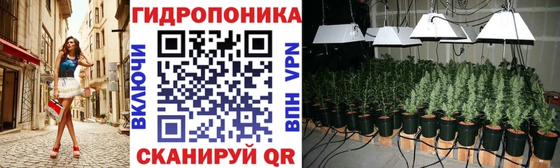 Купить закладки  Сухой Лог  Канабис гибрид 
